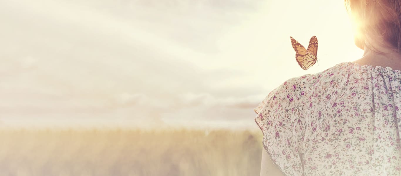 �A�_���g(�G��)���挩�����r�́w�G���q�J2019�x���C���h�H���U�C�N�h�H